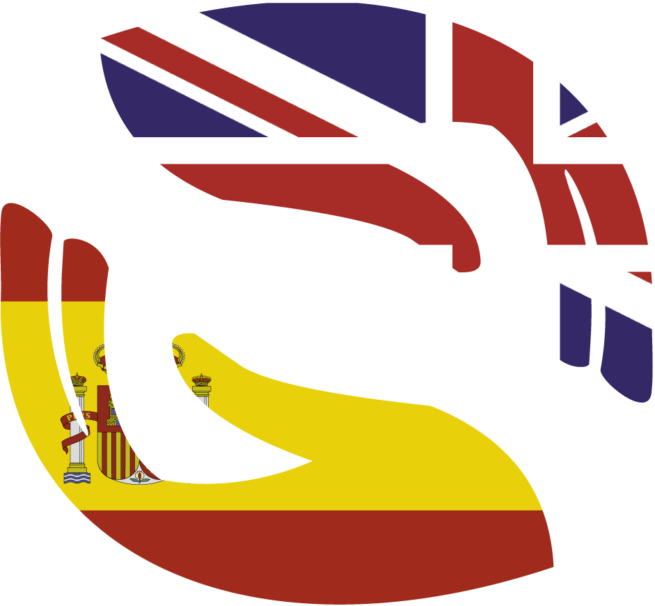 http://www.bremaininspain.com/wp-content/uploads/2016/11/Sue_BremainInSpainHandsFlags_01.png