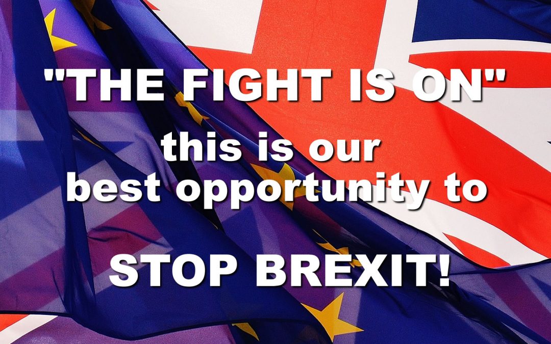 Best Opportunity to Stop Brexit