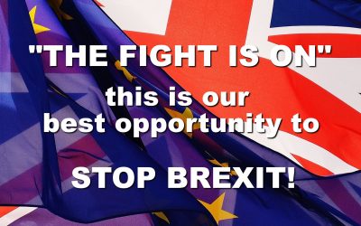 Best Opportunity to Stop Brexit