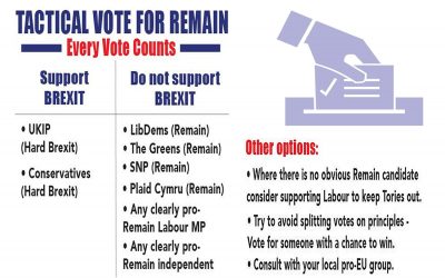 Tactical Voting to Remain – Every Vote Counts