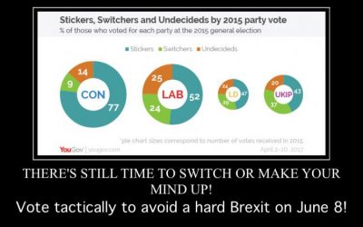 Vote Tactically to Avoid a Hard Brexit