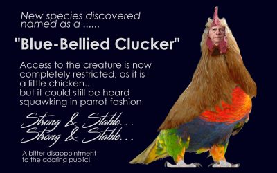 New Species Discovered – Blue-Bellied Clucker
