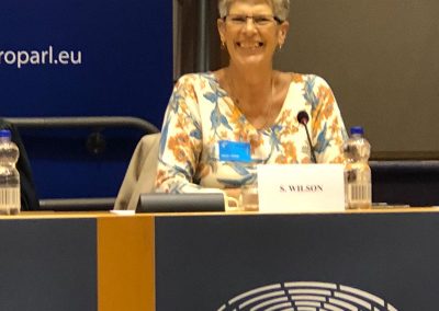 Sue on panel at European Parliament