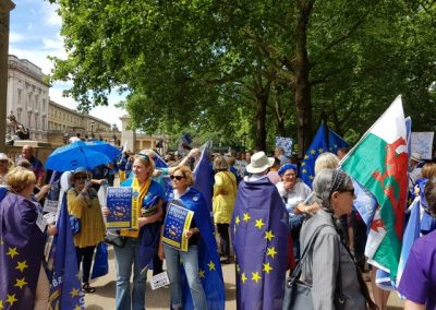 Bremainers at the march