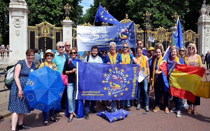 Expat pro-EU remain group considering appeal against High Court Brexit referendum case dismissal