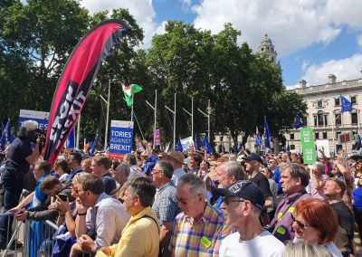 March for Change Stop Brexit
