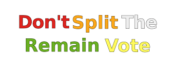 Don't Split The Remain Vote