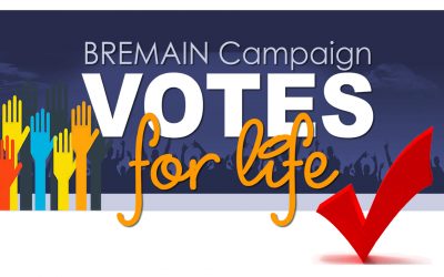 Votes for Life – Improving Representation for Brits Abroad