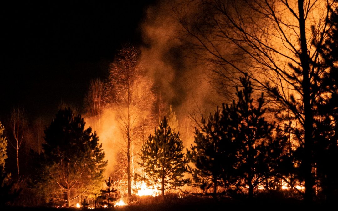 Climate crisis: action vs hypocrisy
