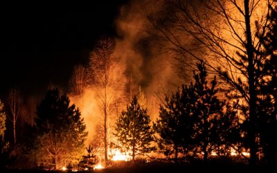Climate crisis: action vs hypocrisy
